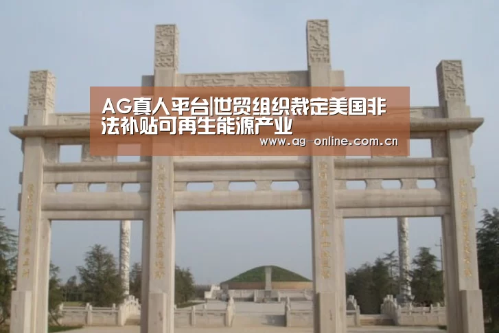 AG真人平台|世贸组织裁定美国非法补贴可再生能源产业(图1) AG真人